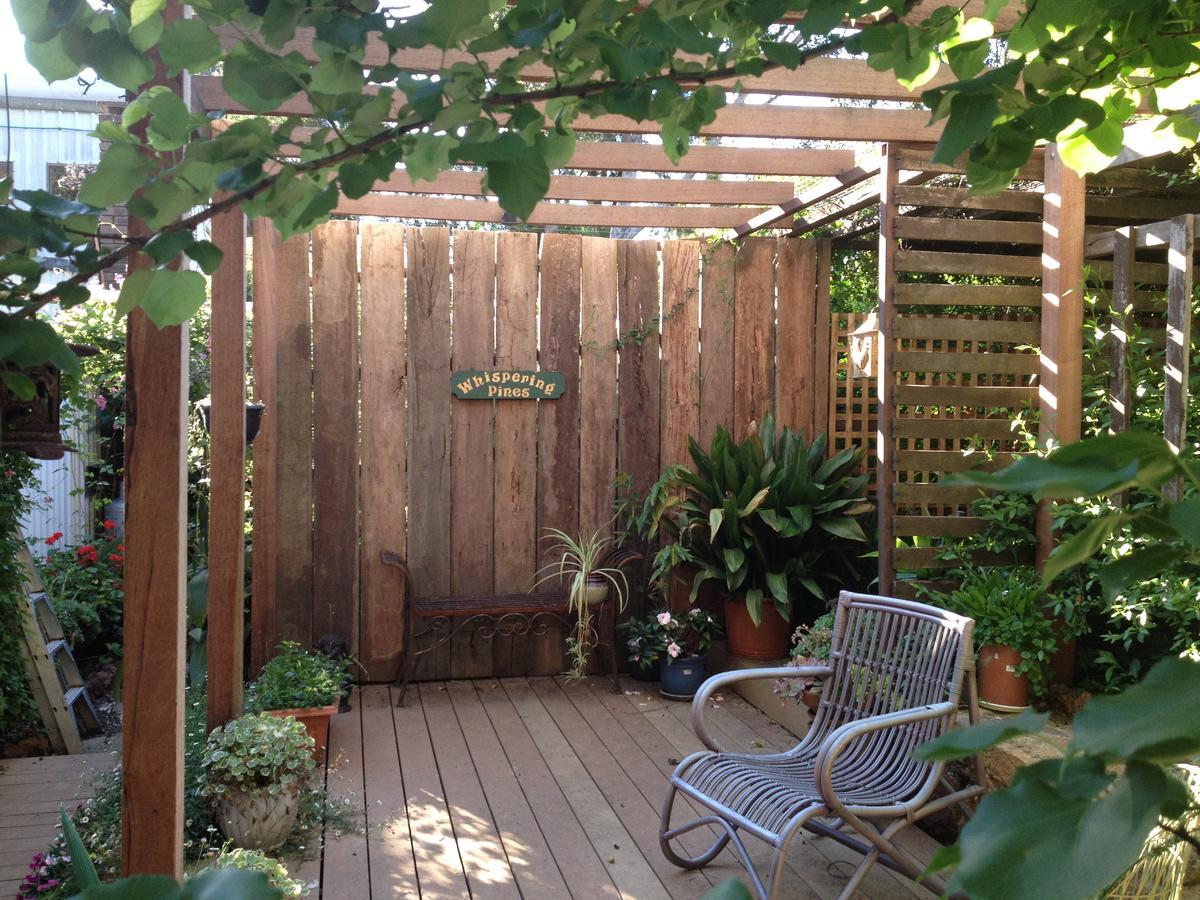 Whispering Pines Bed And Breakfast Collie Exteriör bild