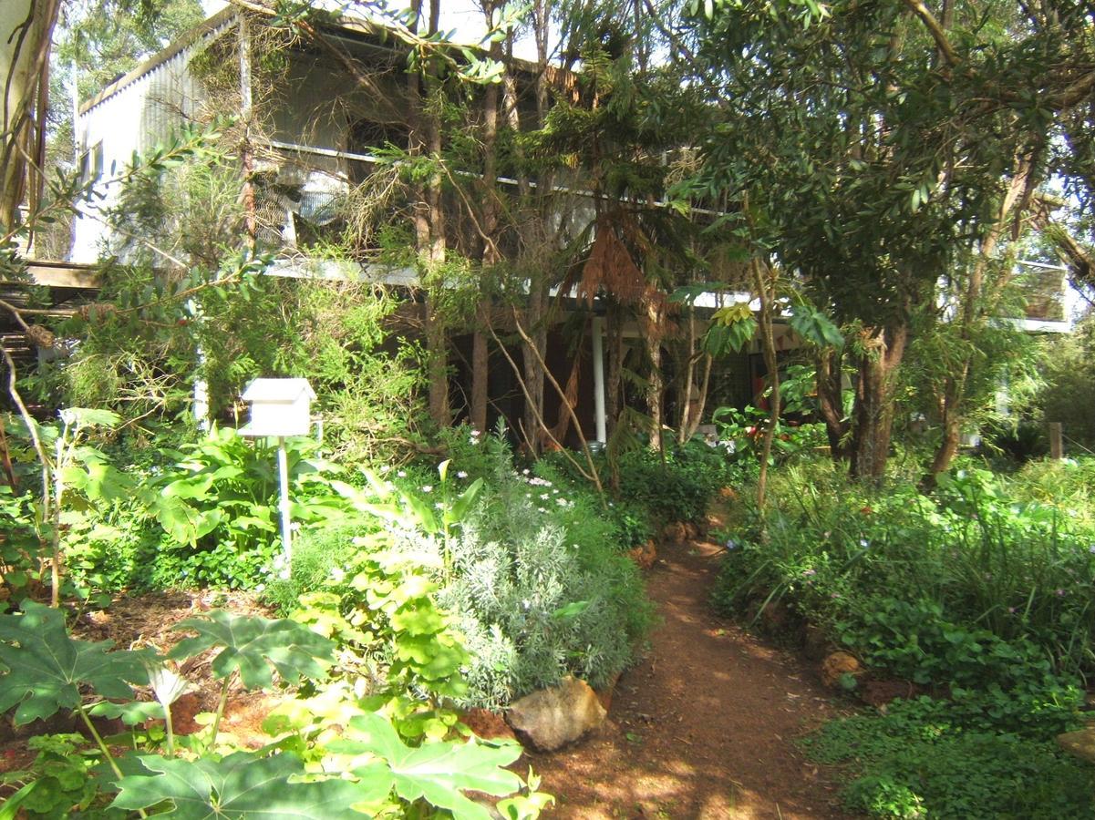 Whispering Pines Bed And Breakfast Collie Exteriör bild