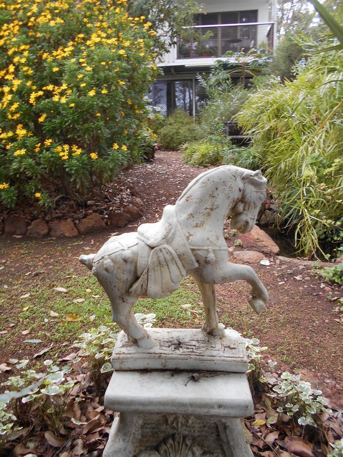 Whispering Pines Bed And Breakfast Collie Exteriör bild